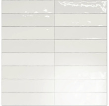 Carreaux rectangulaires brillants