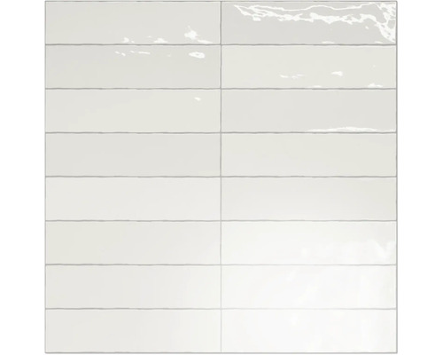 Carreaux rectangulaires brillants