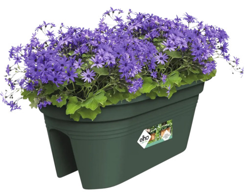 Blumenkasten elho Green Basics Flower Bridge Kunststoff 55x29x22 cm grn  inkl. Halterung - HORNBACH Luxemburg