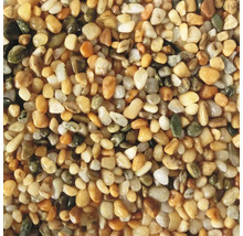 Nahaufnahme von Zierkieseln