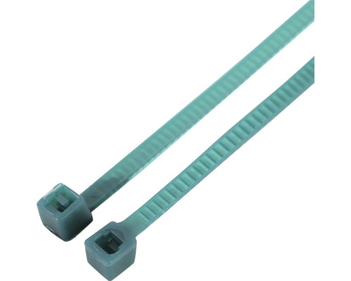 Zwei Kabelbinder aus Kunststoff