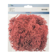 Emballage de mousse d''Islande rouge, 50 grammes