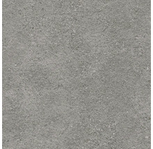 Dalle de terrasse en grès cérame fin Authority Grey bord rectifié 60 cm x 60 cm x 2 cm