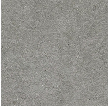 Dalle de terrasse en grès cérame fin Authority Grey bord rectifié 60 cm x 60 cm x 2 cm
