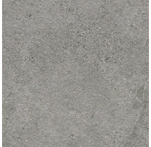 Dalle de terrasse en grès cérame fin Authority Grey bord rectifié 60 cm x 60 cm x 2 cm