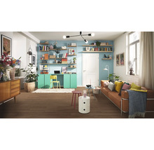Salon avec canapé, table, étagères, bureau et décoration