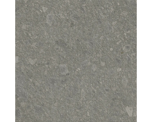 Nahaufnahme einer grauen Steinzeugfliese mit gesprenkelter Textur.