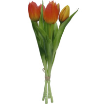Bouquet de tulipes avec des tiges vertes