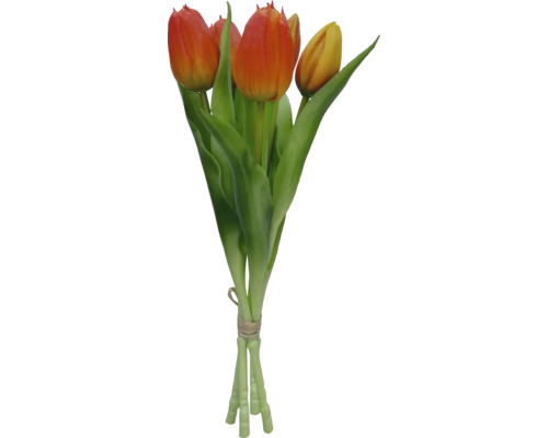 Bouquet de tulipes avec des tiges vertes