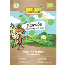 Gurke Sonja Floraself Floralie & Flo Hybrid-Saatgut Gemüsesamen