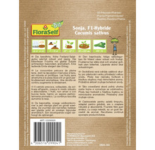 Gurke Sonja Floraself Floralie & Flo Hybrid-Saatgut Gemüsesamen