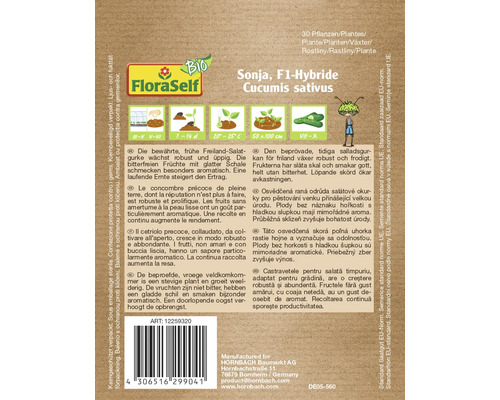 Sonja F1 Hybride Gurke Samenpackung für Freiland-Salatgurken