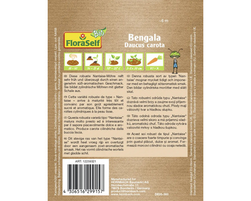 Bengala Daucus carota Karottensamenpackung