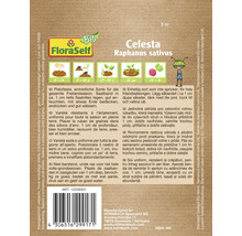 Radieschen Celesta Floraself Floralie & Flo Samenfestes Saatgut Gemüsesamen