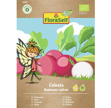 Radieschen Celesta Floraself Floralie & Flo Samenfestes Saatgut Gemüsesamen