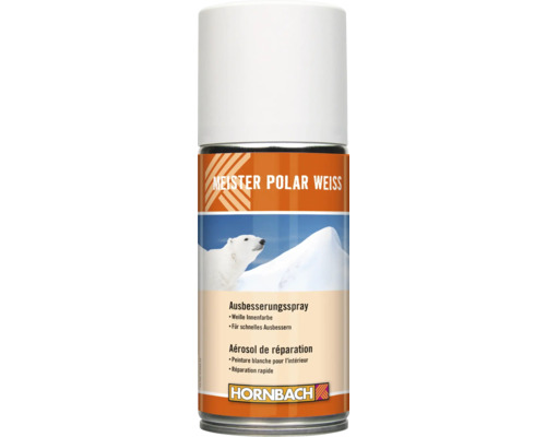 Bombe de retouche HORNBACH Meister blanc polaire blanc 150 ml