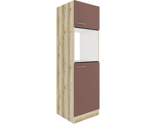 Armoire haute avec étagères et deux portes