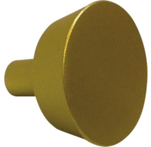 Bouton de meuble en métal