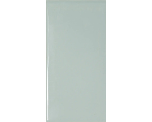 Metrofliese mit Facette alga glänzend 10x20 cm Keramikfliese