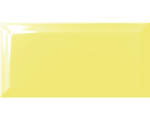 Carreau mural brillant individuel