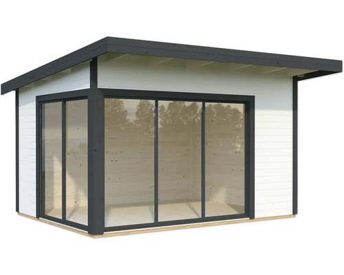 Abri de jardin avec porte coulissante et toit plat