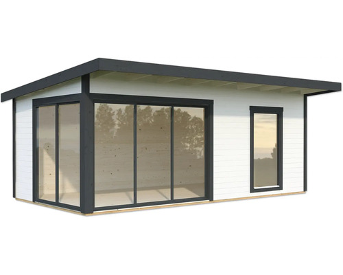 Abri de jardin moderne avec portes coulissantes et fenêtre