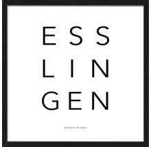 Gerahmtes Bild mit dem Schriftzug Esslingen und den Koordinaten 48 Grad 44 Minuten 34 Sekunden Nord, 9 Grad 18 Minuten 26 Sekunden Ost