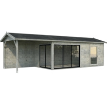 Abri de jardin avec façade en verre et auvent