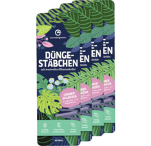 Plusieurs emballages de bâtonnets d''engrais avec du charbon végétal de Wundgarten pour les plantes d''intérieur.