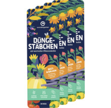 Bâtonnets d''engrais avec charbon végétal pour parterre et balcon, 30 pièces