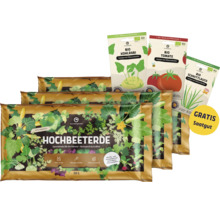 Hochbeeterde im 20 Liter Sack mit Saatgutpackungen für Kohlrabi, Tomate und Schnittlauch