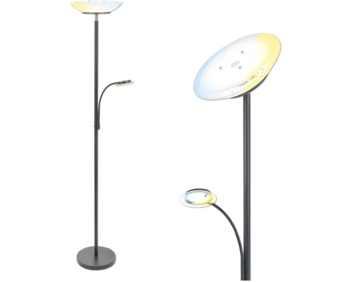 LED Deckenfluter mit Lesearm dimmbar 24/3,7W 3100/400 lm CCT 3000, 4000, 6500 K H 1,8 m Suda anthrazit LED Deckenfluter mit Lesearm dimmbar 24/3,7W 3100/400 lm CCT 3000, 4000, 6500 K H 1,8 m Suda anthrazit