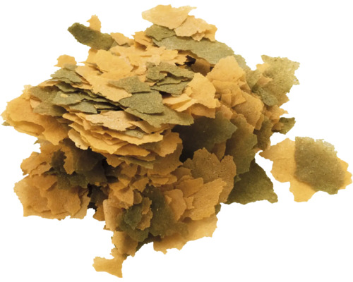 Flocons de nourriture pour poissons