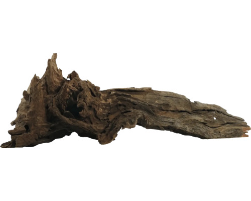 Bois de racine pour aquariums