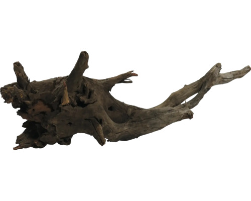 Racine en bois décorative pour aquarium