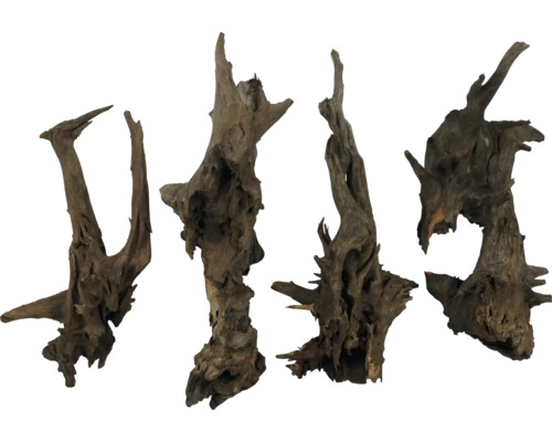 Cinq morceaux de bois flotté pour décoration d''aquarium