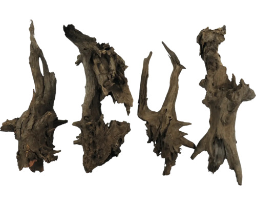 Quatre morceaux de bois flotté décoratifs