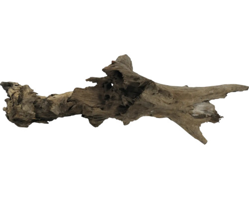 Bois flotté pour la décoration d''aquariums et de terrariums