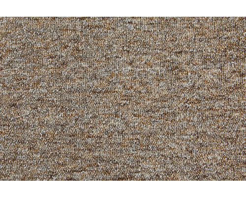 Teppichboden Schlinge Safia beige FB33 500 cm breit (Meterware) Teppichboden Schlinge Safia beige FB33 500 cm breit (Meterware)