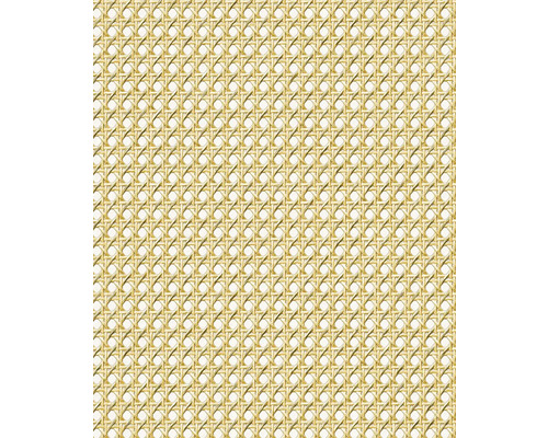Papier peint intissé 45753 Struktura aspect rotin beige Tissage en rotin au mètre