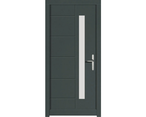 Porte d'entrée DW02 pin RAL 6012 vert noir 1100x2100 mm tirant droit (ouverture vers l'intérieur) Porte d''entrée grise avec insert en verre et poignée en acier inoxydable