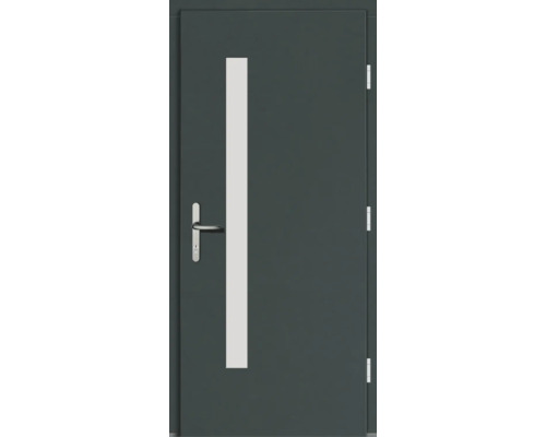 Haustür mit Lichtausschnitt und Griff