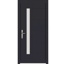 Moderne Haustür mit Glaseinsatz und Edelstahlgriff