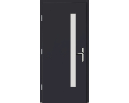 Haustür mit schmalem Glaseinsatz und Türgriff