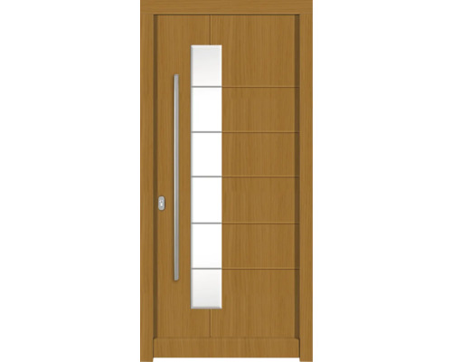 Haustür aus Holz mit Glaseinsatz und Edelstahlgriff