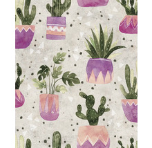 Motif avec cactus et plantes d''intérieur en pot