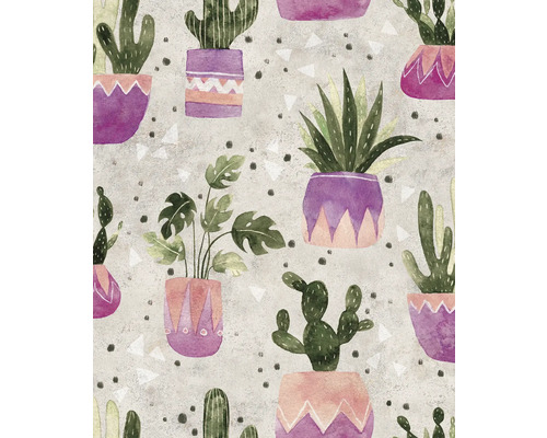 Papier peint intissé 81653 Leyla mélange de plantes gris vert Motif avec cactus et plantes d''intérieur en pot