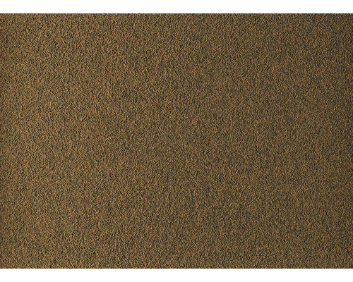 Nourriture pour poissons d''aquarium