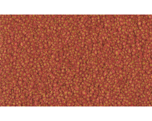 Nahaufnahme von Fischfutter