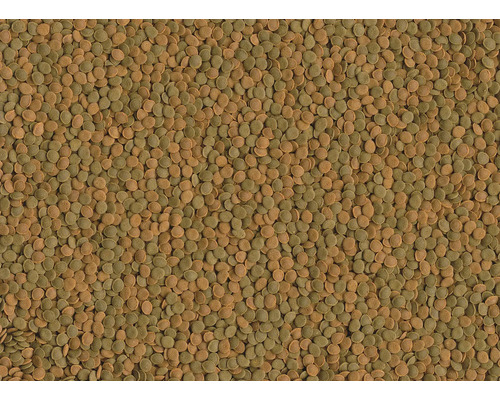 Nahaufnahme von Fischfutterpellets